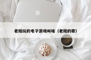 老陆玩的电子游戏叫啥（老陆的歌）
